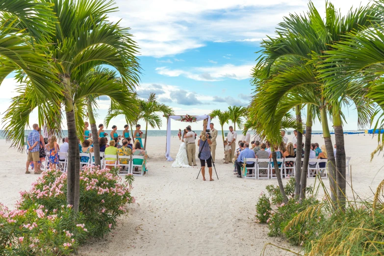 a wedding ceremony on the beach with palm trees, unsplash, renaissance, aruba, multiple stories, full room view, thumbnail