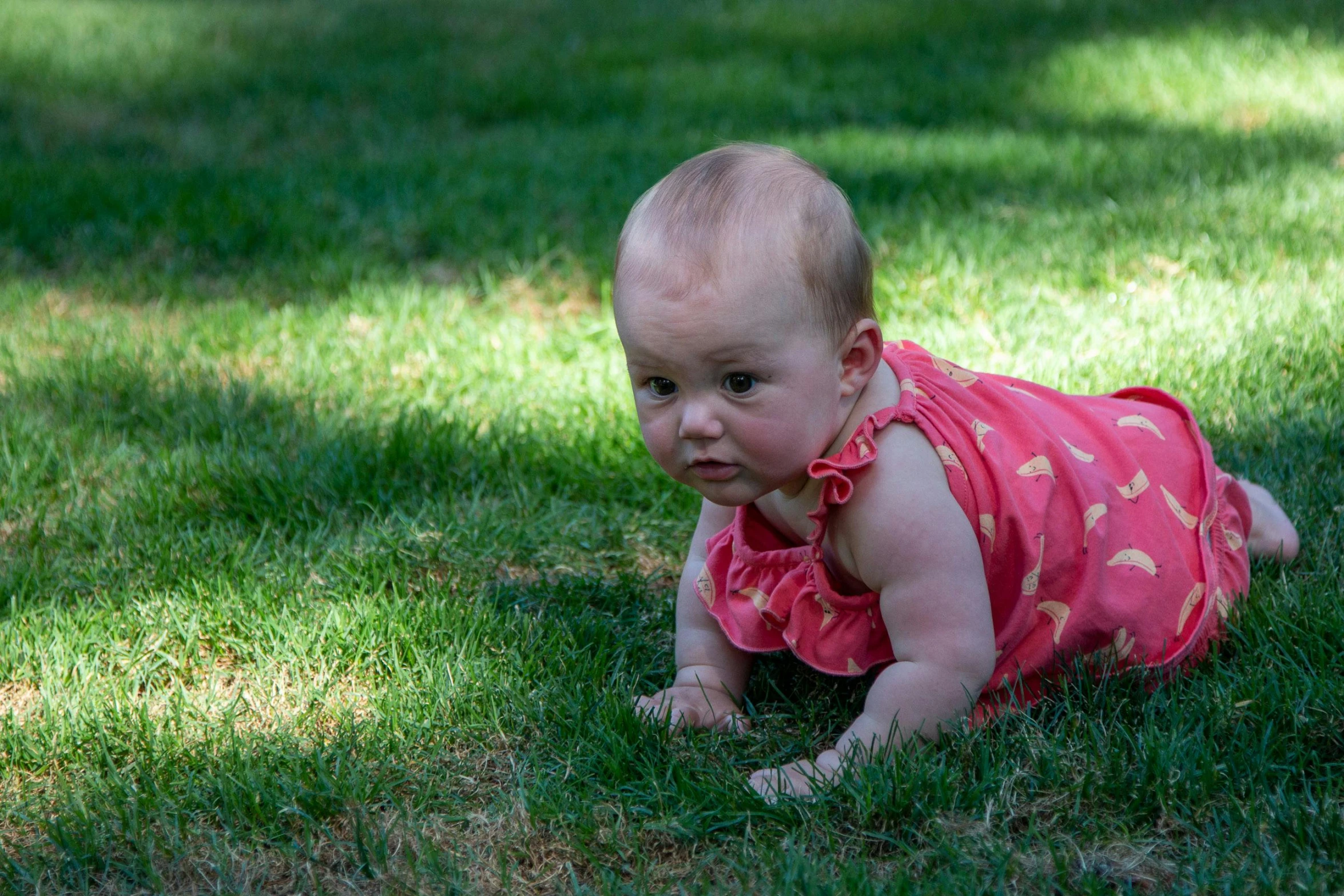 a baby crawling in the grass with a frisbee, by Gwen Barnard, pexels contest winner, she has a distant expression, low lighting, perfectly shaded, taken with canon 5d mk4