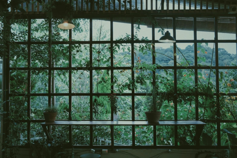 a view of the outside of a building through a window, inspired by Elsa Bleda, unsplash, green flora forest, cafe, las pozas, greenhouse