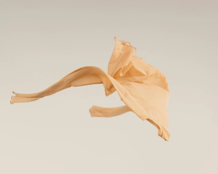 a person holding a banana peel in their hand, an abstract sculpture, inspired by Méret Oppenheim, unsplash, gutai group, beige background, flowing sakura-colored silk, made of lab tissue, high resolution product photo