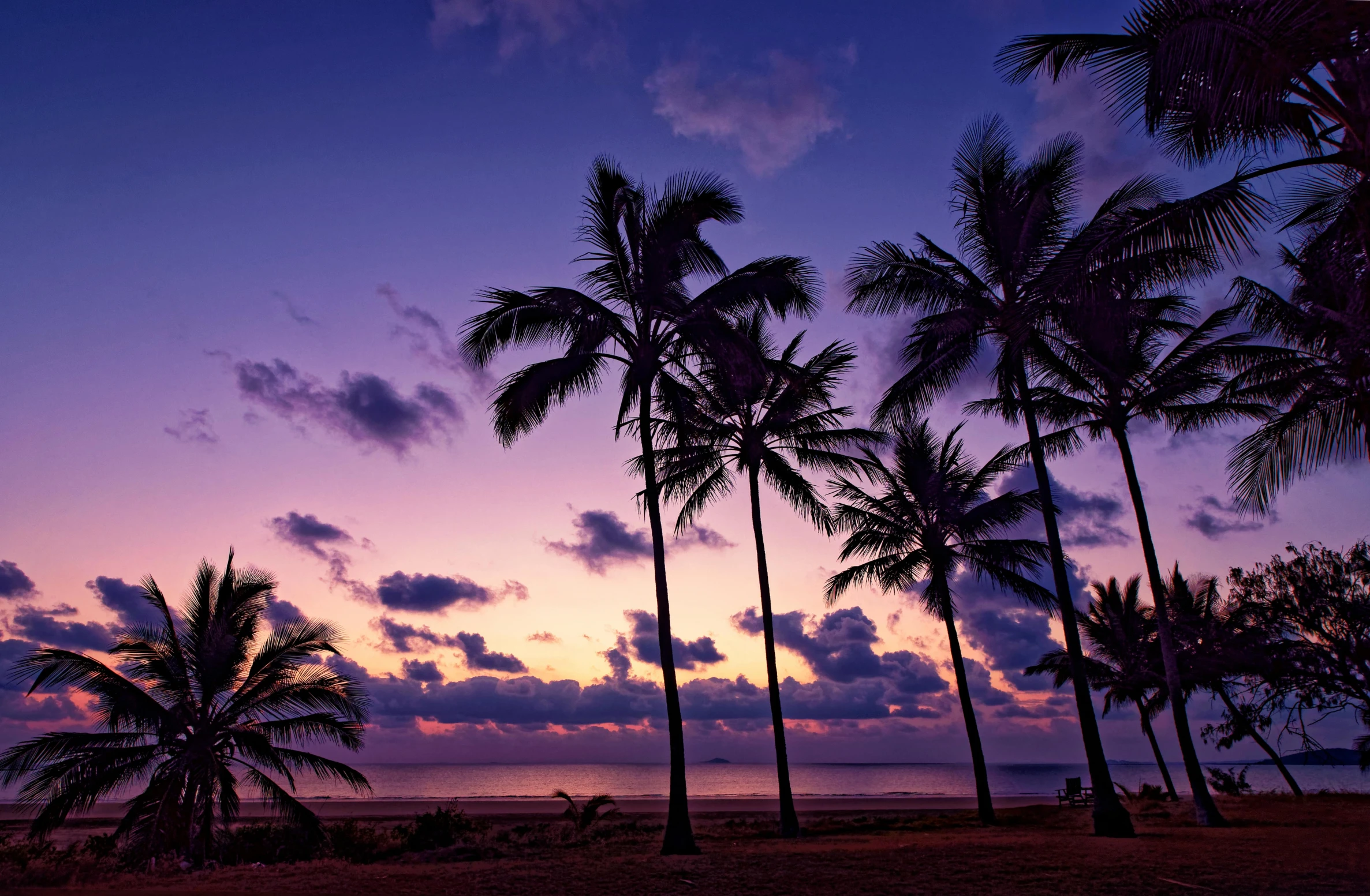 palm trees line the beach as the sun sets, by Lee Loughridge, pexels contest winner, hurufiyya, draped in purple, great barrier reef, music video, on a dark background