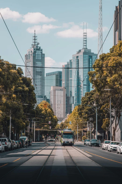 a street filled with lots of traffic next to tall buildings, by Anita Malfatti, unsplash contest winner, north melbourne street, trams, forest setting with skyscrapers, square