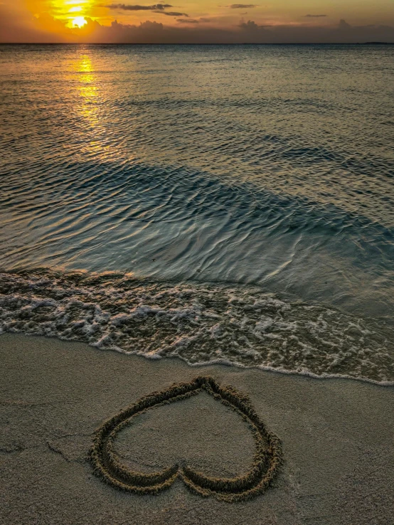 a heart drawn in the sand on a beach, by Jason Felix, pexels contest winner, evening sunlight, corn floating in ocean, slide show, profile image