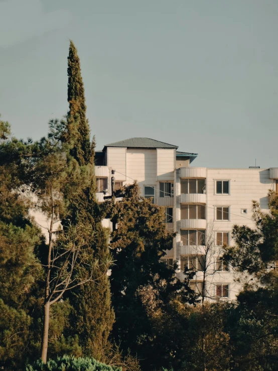 a man flying a kite on top of a lush green field, by Leo Michelson, unsplash, modernism, soviet apartment building, mulholland drive, instagram story, with dark trees in foreground