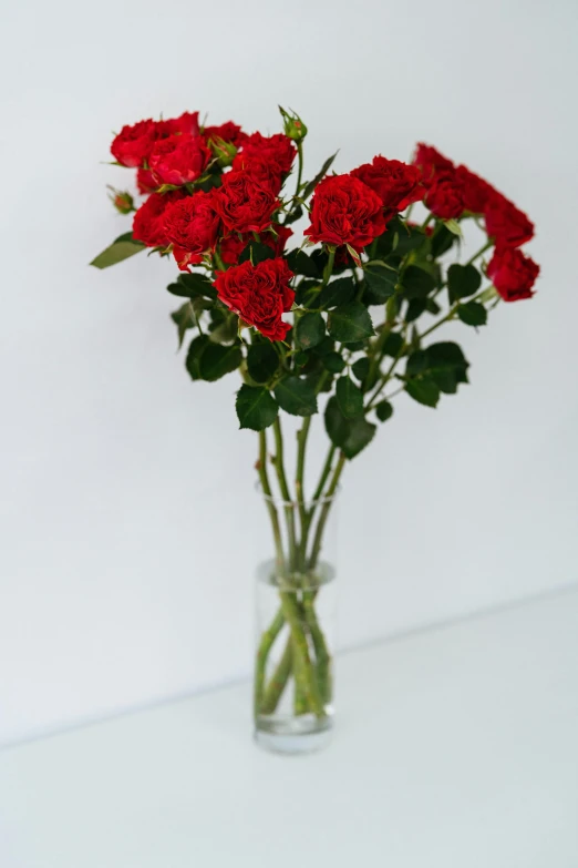 a vase filled with red flowers on top of a table, natural point rose', critically acclaimed, large tall