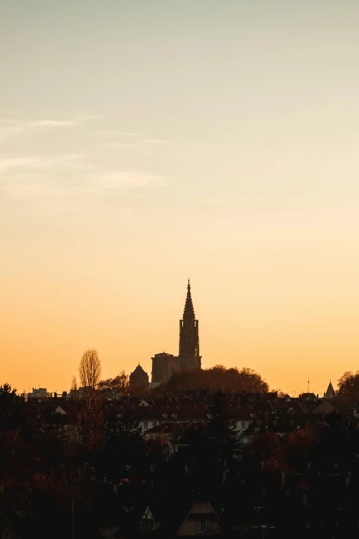 a large clock tower towering over a city, a picture, by Jan Tengnagel, pexels, happening, autumn sunrise warm light, northern france, pale beige sky, panorama view