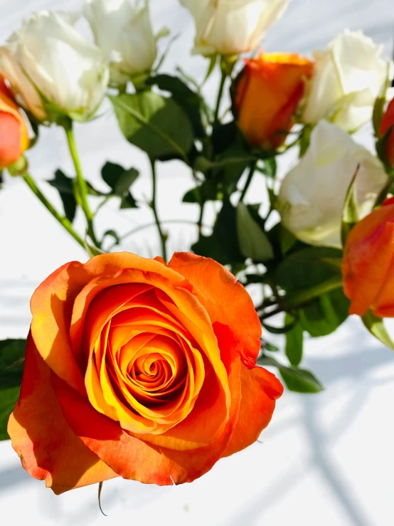 a bunch of orange and white roses in a vase, trending on unsplash, zoomed out view, detailed product shot, award winning, detail shot