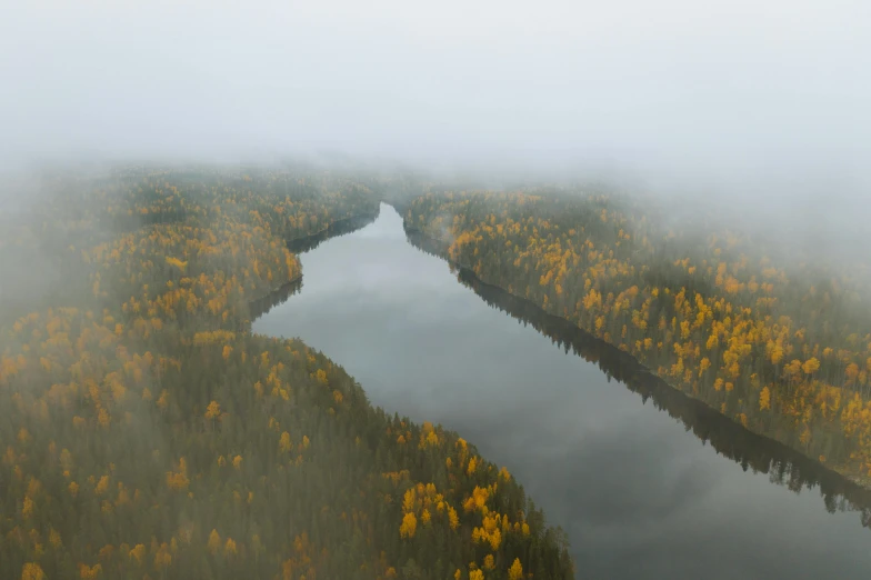 an aerial view of a river surrounded by trees, by Jaakko Mattila, pexels contest winner, hurufiyya, foggy sky, mid fall, fine art print, yellow mist