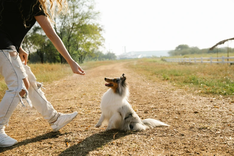 a woman standing next to a dog on a dirt road, trending on pexels, visual art, sitting on the ground, fist training, realistic »