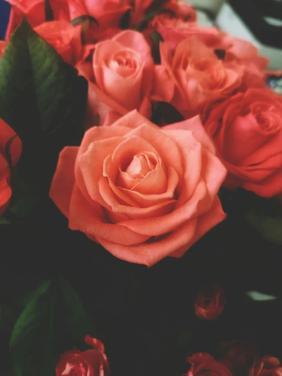 a bouquet of red roses sitting on top of a table, toned orange and pastel pink, ((oversaturated)), 🎀 🗡 🍓 🧚, up-close