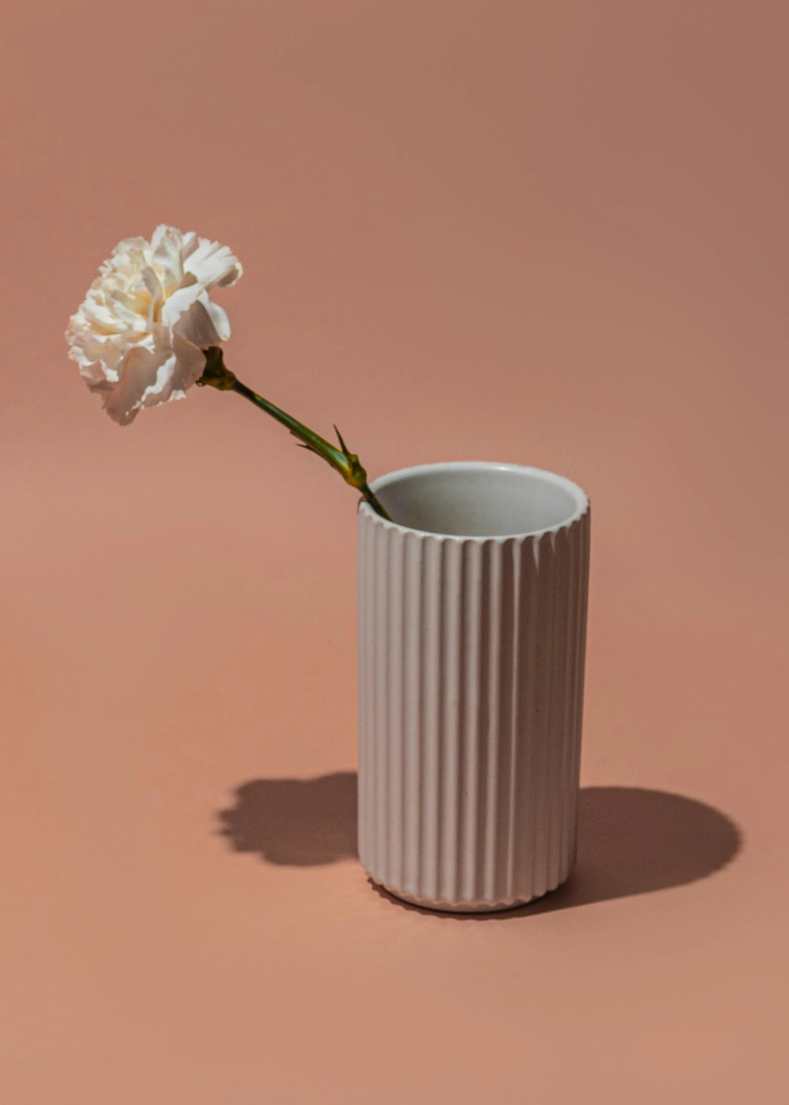 a white vase with a single flower in it, serrated point, product image, canyon, tall shot