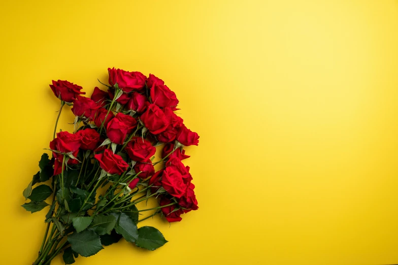 a bouquet of red roses on a yellow background, by Julia Pishtar, pexels, clemens ascher, 15081959 21121991 01012000 4k, unbeatable quality, super high resolution