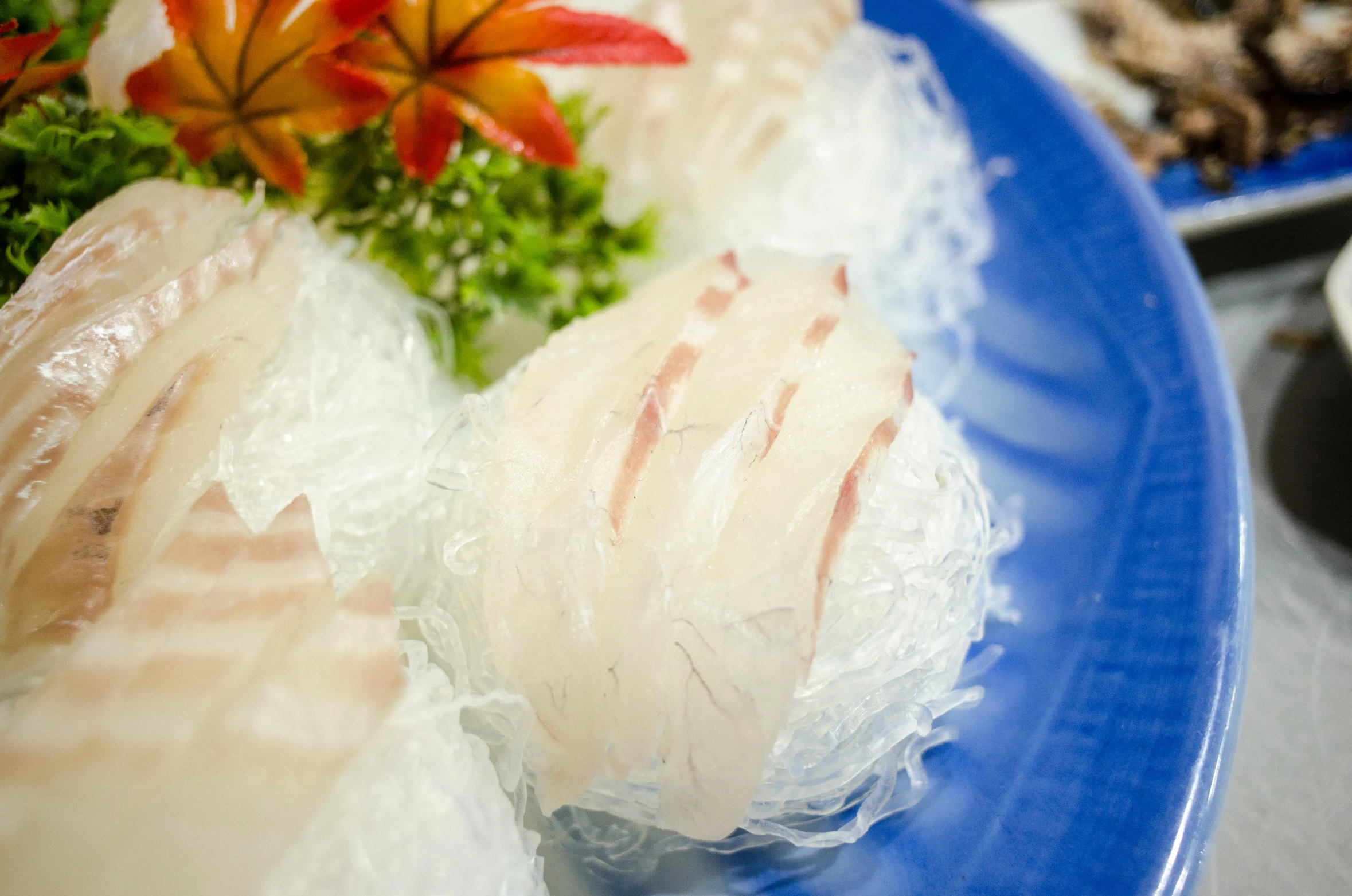 a close up of a plate of food on a table, blue jellyfish, profile image, ice fish shape, bao phan