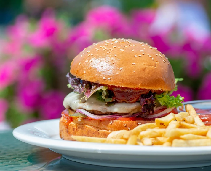 a hamburger and french fries on a plate, by Julia Pishtar, al fresco, avatar image, fan favorite, restaurant menu photo