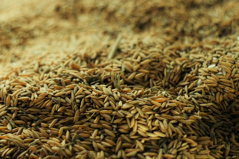 a pile of brown rice sitting on top of a table, a macro photograph, by Carey Morris, pexels, hurufiyya, malt, 1960s-era, farming, bangalore