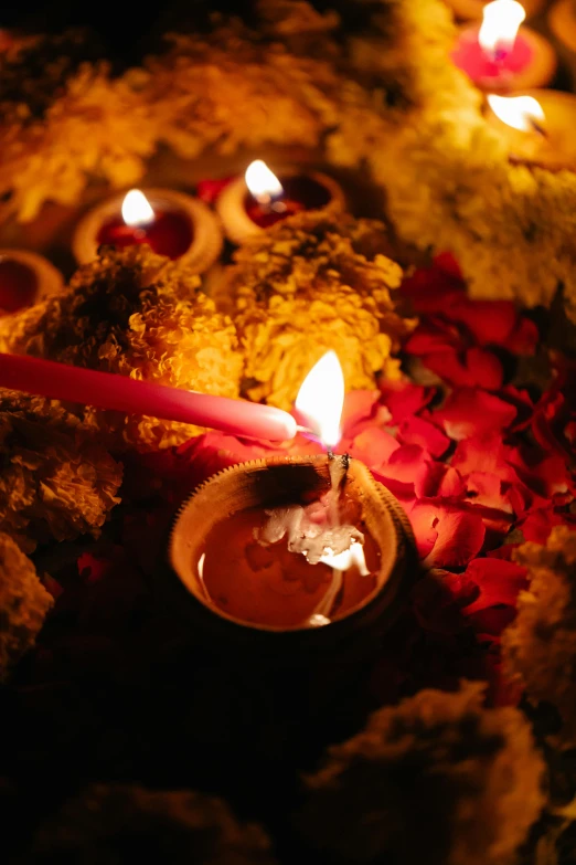 a group of candles sitting on top of a bed of flowers, hurufiyya, submerged temple ritual scene, promo image, nepal, slide show