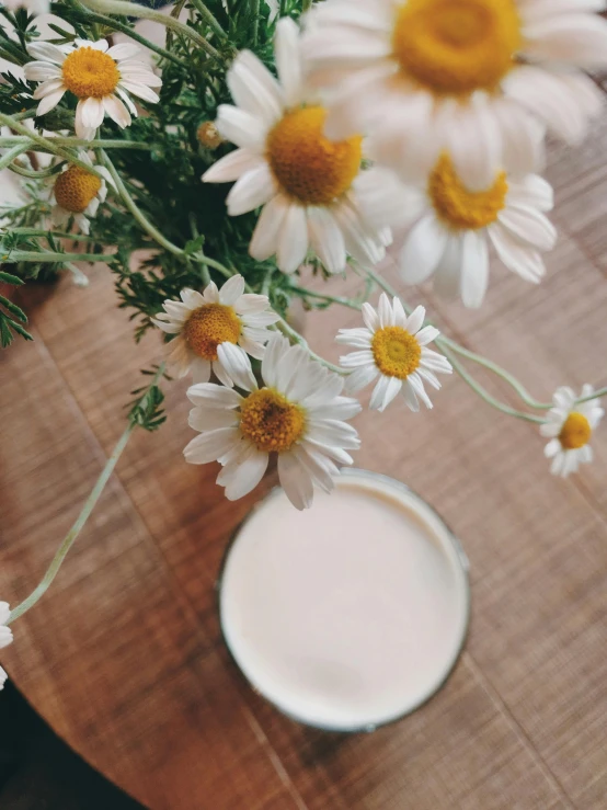 a vase of daisies and a glass of milk on a table, trending on unsplash, low quality photo, lush plant and magical details, soft pale golden skin, high angle close up shot