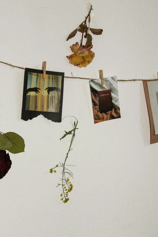 a bunch of pictures hanging on a clothes line, a polaroid photo, inspired by Elsa Bleda, visual art, dried flowers, profile image, card frame, close - up photograph