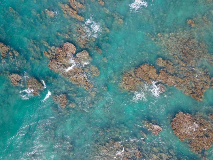 a bird's eye view of a body of water, by Jessie Algie, pexels, reefs, hd footage, te pae, wet rocks