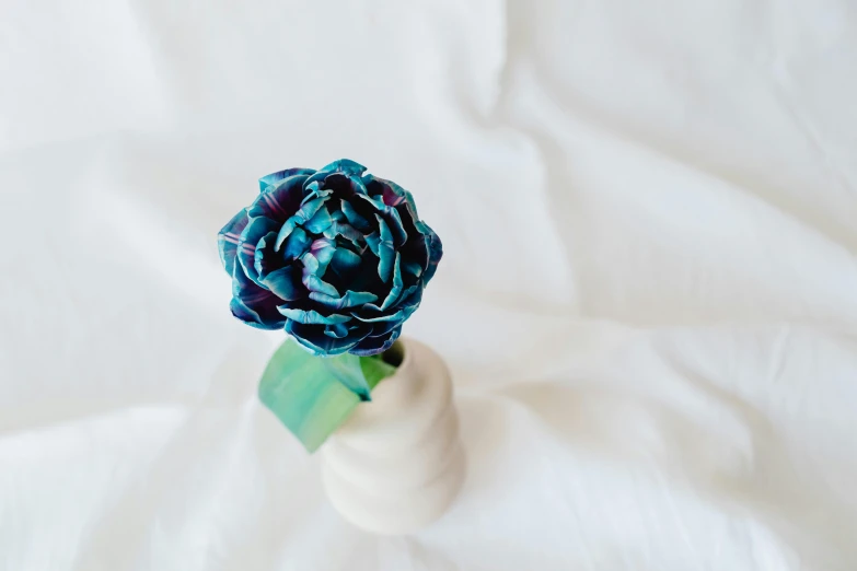 a blue flower sitting in a white vase, by Rachel Reckitt, unsplash, made of silk paper, artichoke, miniature product photo, teal