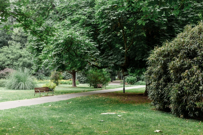 a park bench sitting in the middle of a lush green park, inspired by Thomas Struth, unsplash, tehran, panoramic shot, john pawson, shady alleys