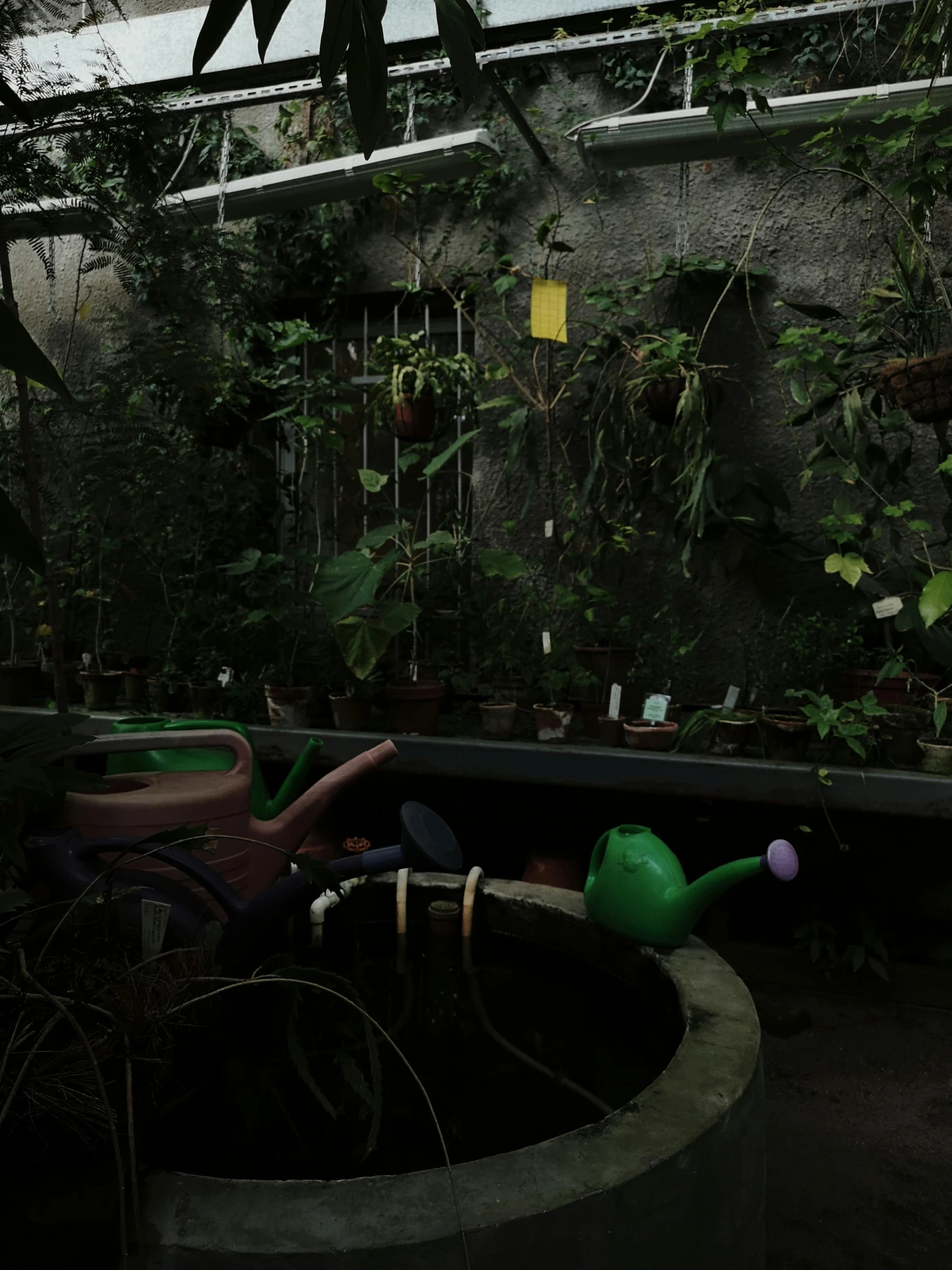 a green house filled with lots of plants, a screenshot, unsplash, conceptual art, dark damp atmosphere, background image, watering can, photo for a store