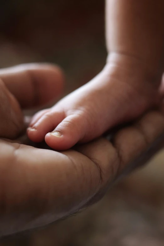 a close up of a person holding a baby's hand, paul barson, small legs, riyahd cassiem, fatherly