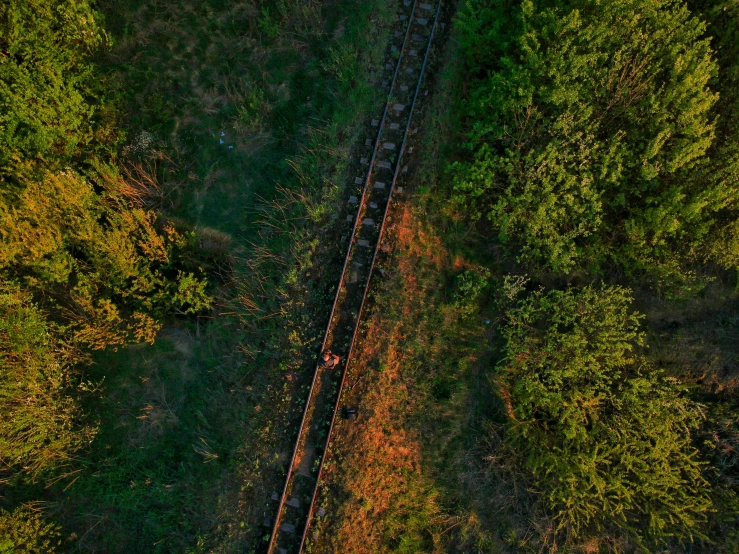 a train traveling through a lush green forest, an album cover, by Adam Marczyński, unsplash contest winner, evening sunset, top down perspecrive, rail tracks lead from the mine, thumbnail