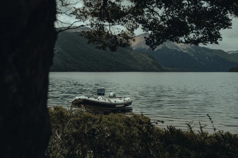 a boat sitting on top of a lake next to a tree, by Elsa Bleda, unsplash contest winner, new zealand, inflatable, grey, camping