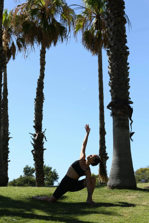 a woman doing a yoga pose in front of palm trees, arabesque, blue sky, jc park, near the beach, profile image