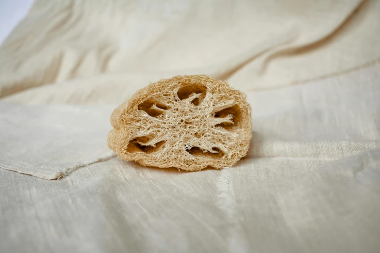 a piece of bread sitting on top of a white sheet, a stipple, unsplash, arabesque, open synthetic maw, coral, bath, organic detail