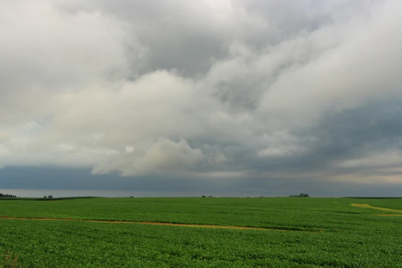 a field of green grass under a cloudy sky, a picture, by David Simpson, giant cumulonimbus cloud, horizon view, distant - mid - shot, gray skies