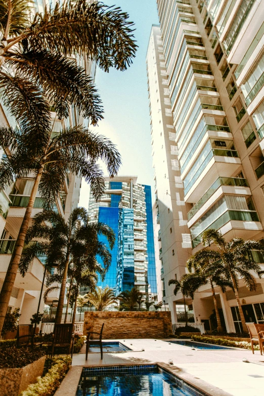 a pool surrounded by palm trees next to tall buildings, by Robbie Trevino, elegant walkways between towers, view from ground level, family friendly, tropical coastal city