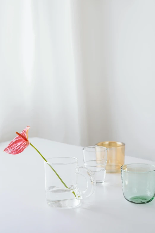 a close up of a vase with a flower in it, a still life, by Eizan Kikukawa, unsplash, light and space, small square glasses, on a white table, various colors, detailed product photo