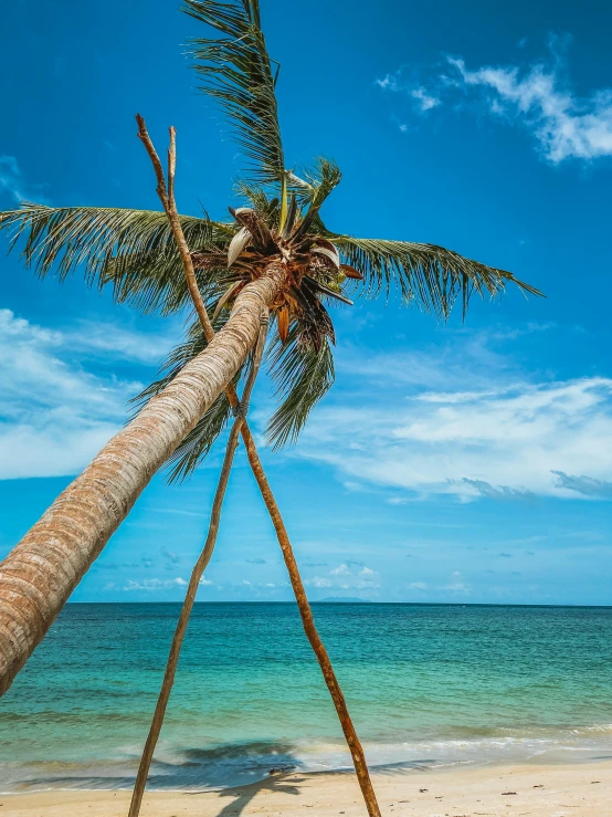 a hammock hanging from a palm tree on a beach, by Matthias Stom, pexels contest winner, clear blue skies, slide show, philippines, stacked image