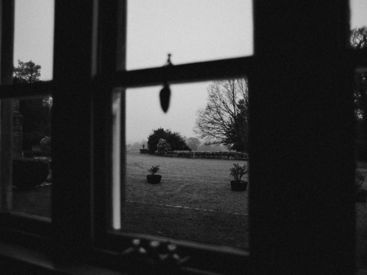 a view of a field through a window, a black and white photo, unsplash, in a garden of a house, foreboding room, laura watson, during dawn