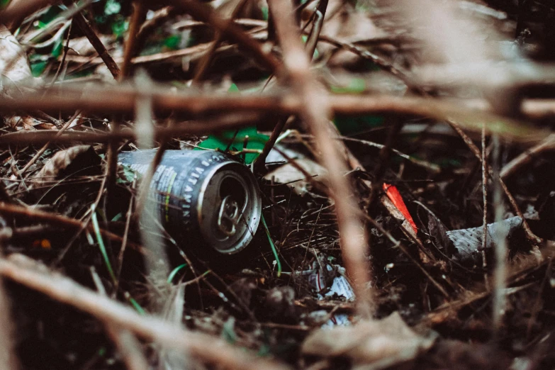 a broken camera sitting in the middle of a forest, pexels contest winner, environmental art, soda cans, trash ; basement, alcohol, promo image