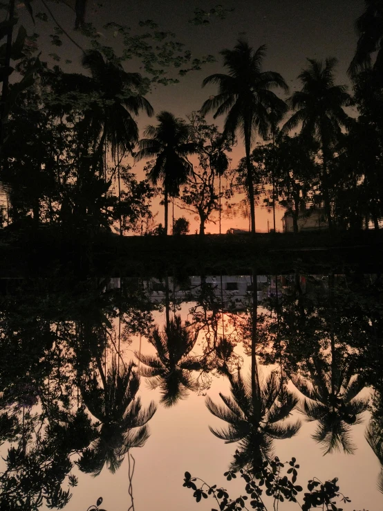a body of water with palm trees in the background, an album cover, by Byron Galvez, pexels contest winner, sumatraism, reflection map, spring evening, historical photo, ((sunset))