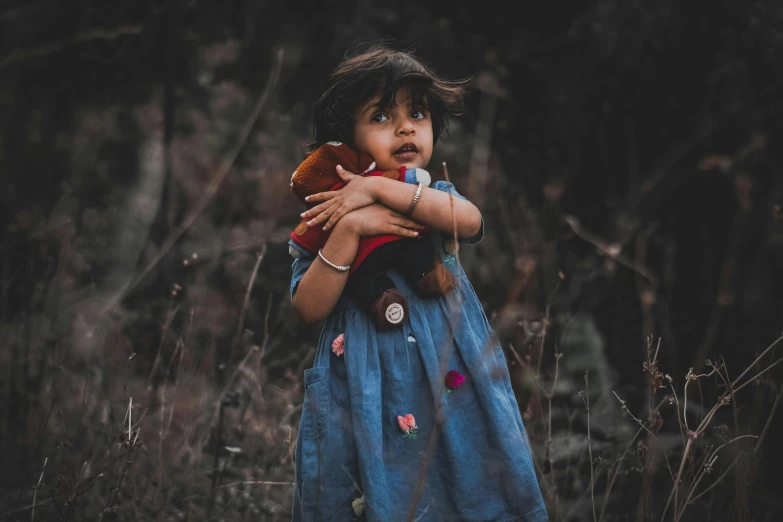 a little girl holding a teddy bear in a field, by irakli nadar, pexels contest winner, symbolism, indian girl with brown skin, 2 years old, very dark background, looking confused