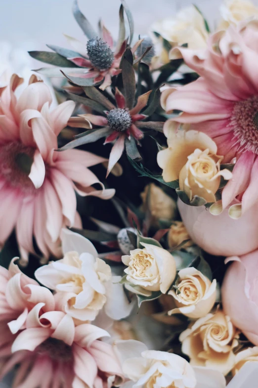 a bouquet of flowers sitting on top of a table, by Elsie Few, trending on unsplash, baroque, soft blush, flannel flower, exquisite detail huge details, faded pink