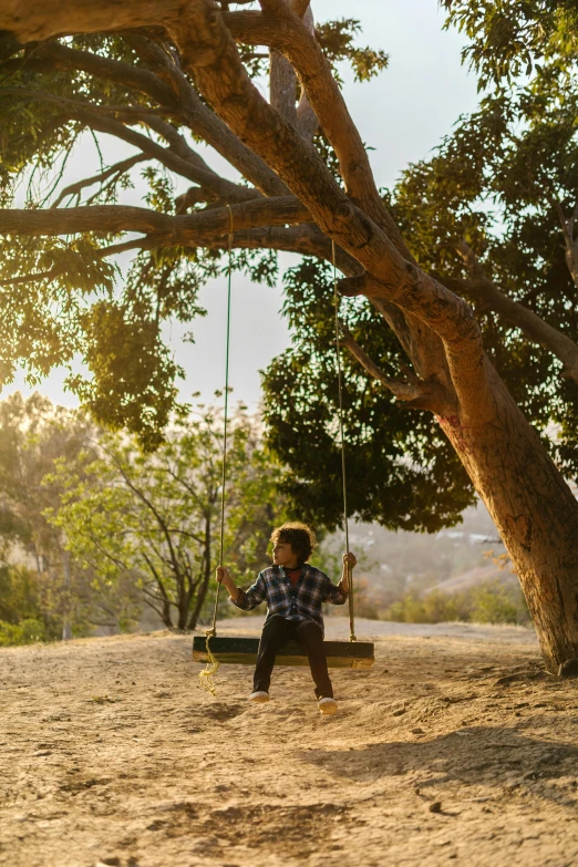 a little boy that is sitting on a swing, pexels contest winner, malibu canyon, the bodhi tree at sunset, wide film still, portrait of willow smith