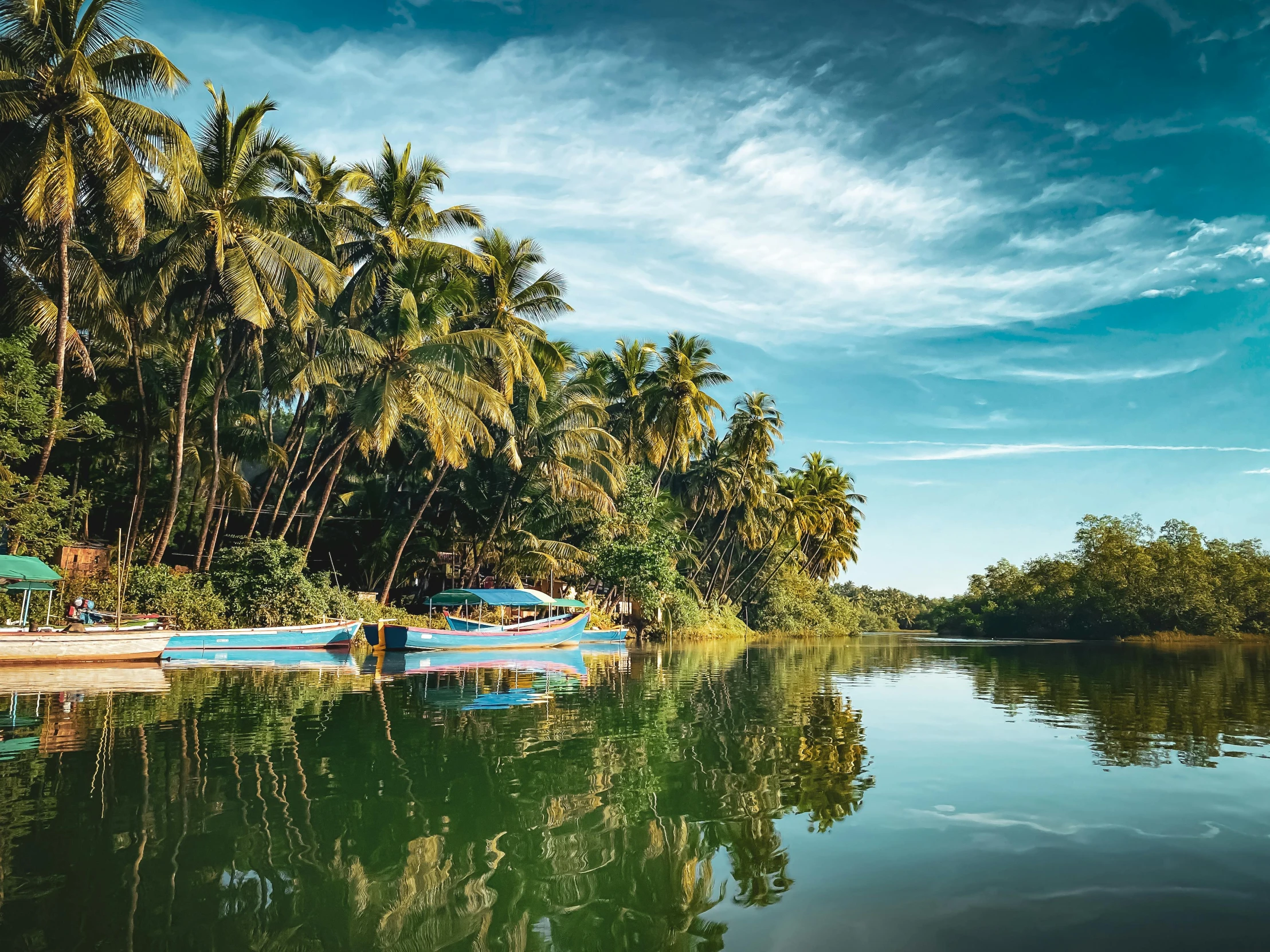 a body of water surrounded by palm trees, boats in the water, indian forest, lush surroundings, fan favorite