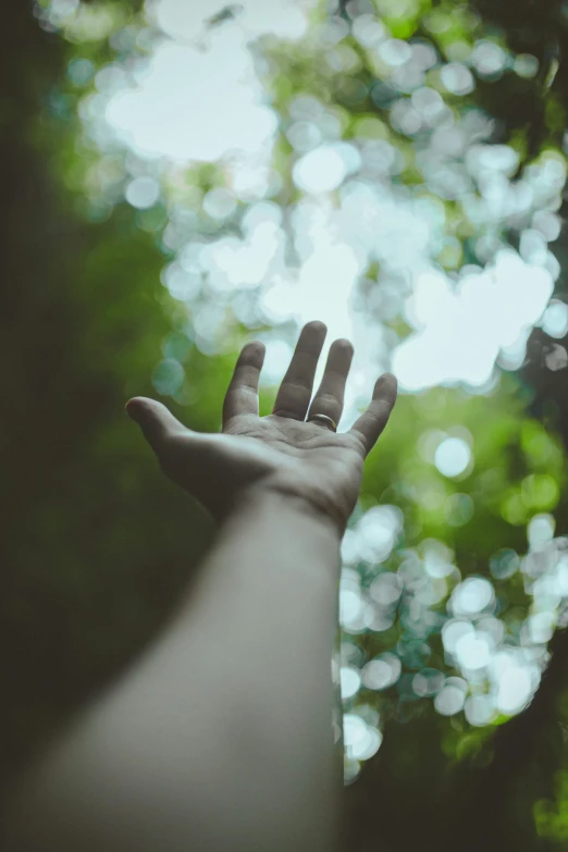 a person holding their hand up in the air, unsplash, happening, lush surroundings, paul barson, religious, gaze down