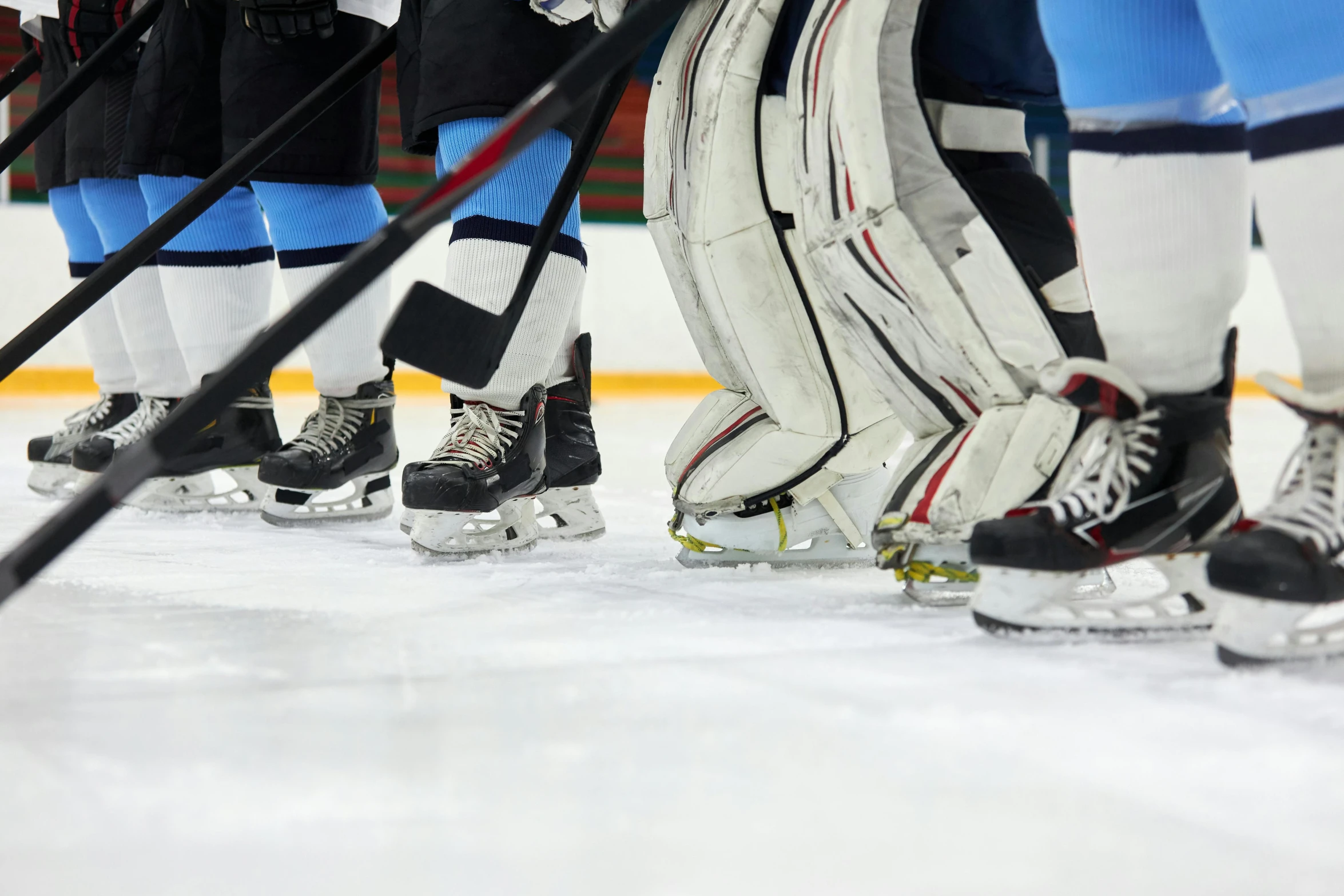 a group of hockey players standing next to each other, by Bernie D’Andrea, shutterstock, incoherents, close-up on legs, ice blue, full ice hockey goalie gear, 15081959 21121991 01012000 4k