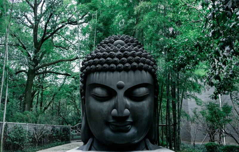 a close up of a statue with trees in the background, by Carey Morris, pexels contest winner, sōsaku hanga, hindu stages of meditation, zezhou chen, fully frontal view, 🦩🪐🐞👩🏻🦳