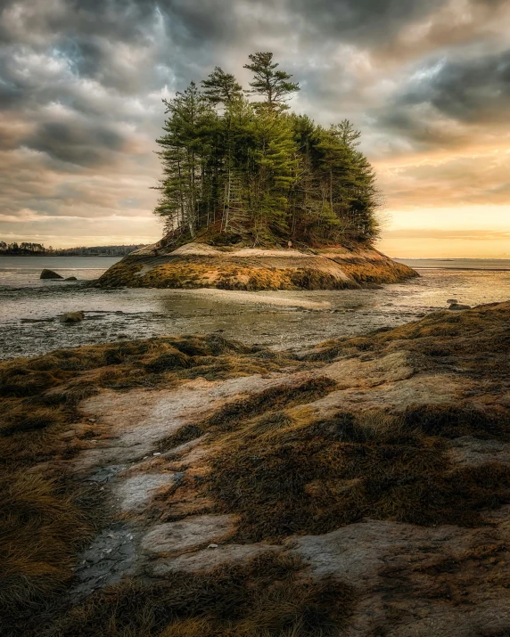 a small island in the middle of a body of water, by Jessie Algie, unsplash contest winner, dramatic light hdr, pacific northwest coast, new hampshire, ignant