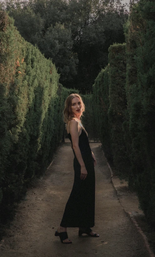 a woman in a black dress walking down a path, inspired by Luis Paret y Alcazar, pexels contest winner, renaissance, britt marling style 3/4, portrait soft low light, posing for a picture, low quality photo