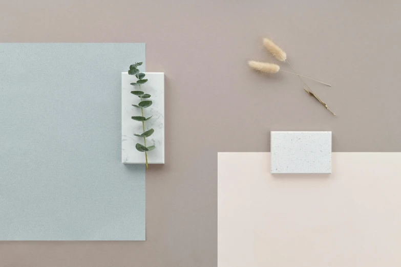 a piece of paper sitting on top of a table next to a plant, inspired by Harvey Quaytman, minimalism, terrazzo, taupe, decorative panels, solid colours