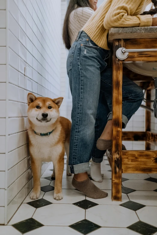 a woman sitting at a table with a dog in front of her, inspired by Shiba Kōkan, trending on unsplash, renaissance, wooden toilets, wearing jeans, full frame image, standing straight
