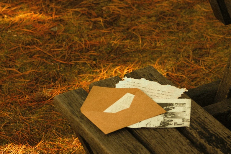 a piece of paper sitting on top of a wooden bench, by Romain brook, pexels contest winner, mail art, late summer evening, forest picnic, smokey burnt envelopes, movie set”